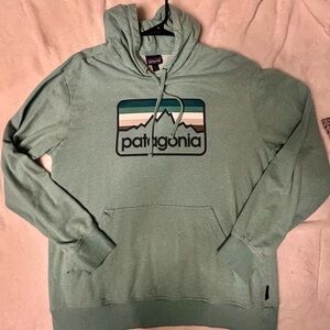 Patagonia Green Hoodie